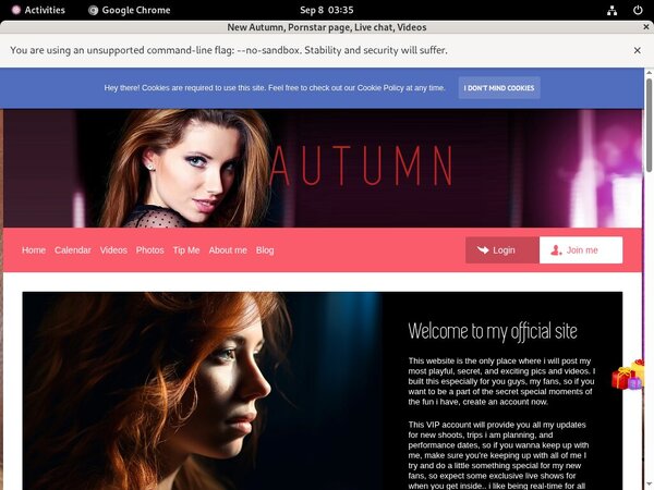 Autumn Checkout Page