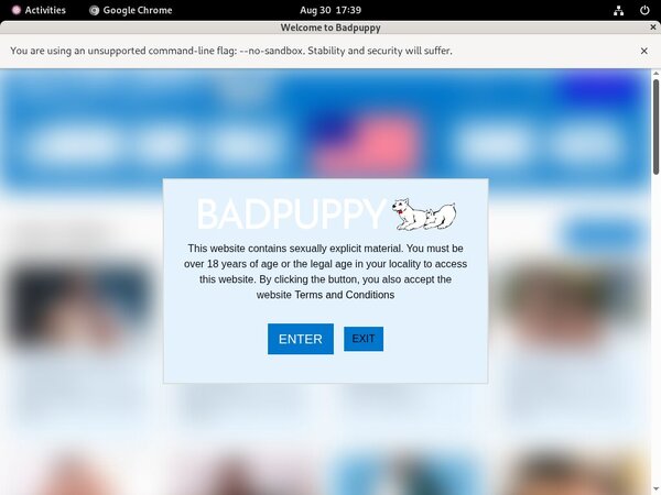 Badpuppy.com Discount Payment