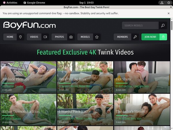 Boy Fun Login Codes