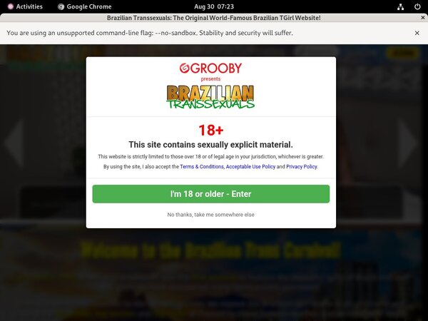 Braziliantranssexuals Women