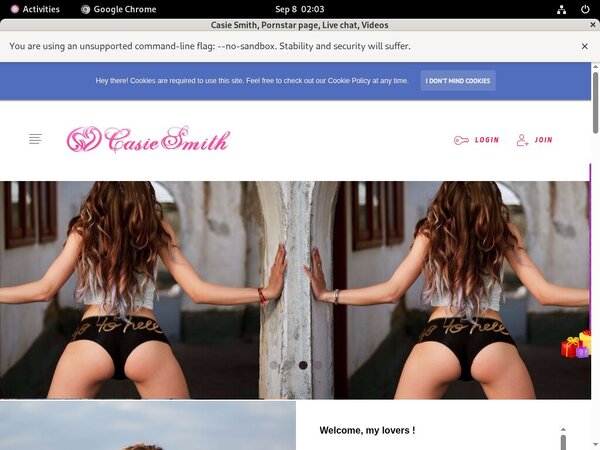 CasieSmith With Webbilling.com