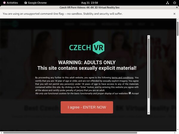 Czechvr.com Get A Password