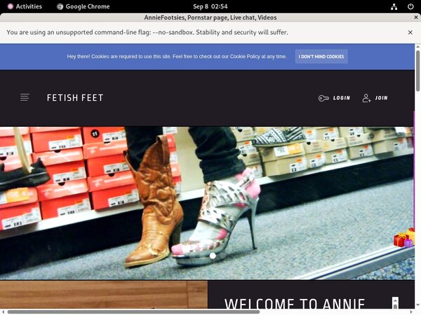 Fre Anniefooties.modelcentro.com Login And Password
