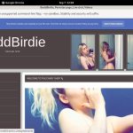 Free BaddBirdie Passwords 2018
