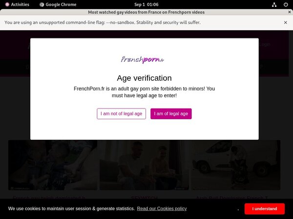 Frenchporn $1 Trial