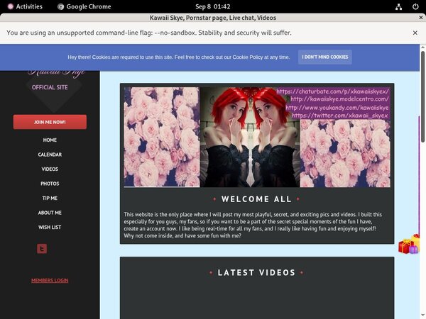 Full Kawaiiskye.modelcentro.com Movies