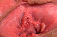 Gape My Pussy New Accounts s6