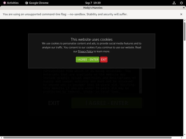 Hollys Hunnies Discount (SAVE 50%)