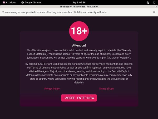 How Much Does Realjamvr.com Cost