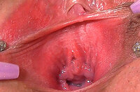 How To Get Gapemypussy.com Free s1 How To Get Gapemypussy.com Free s1