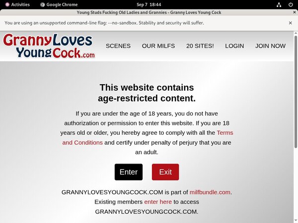 How To Get Into Granny Loves Young Cock How To Get Into Granny Loves Young Cock