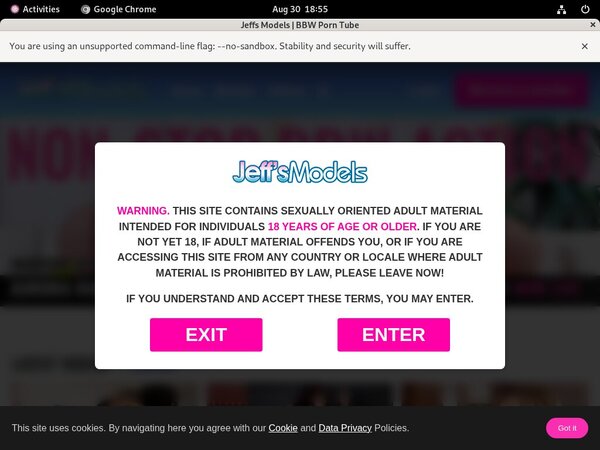 Jeff's Models Password Share