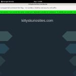Kitty’s Kuriosities Discount Trial Free