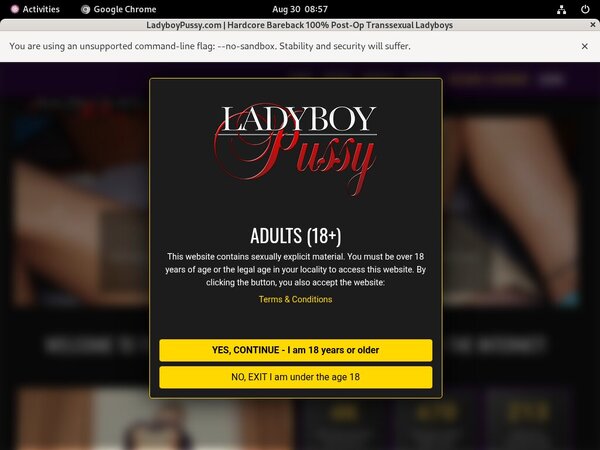 Ladyboypussy.com Fxbilling