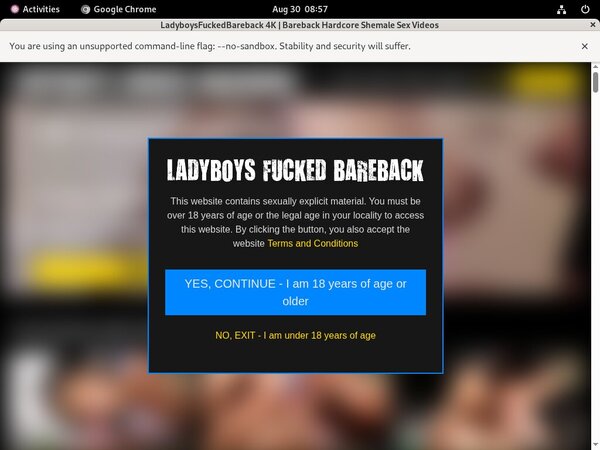 Ladyboys Fucked Bareback Free Login Password