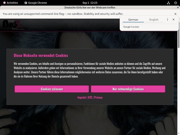 LanaGiselle Premium Accounts Free