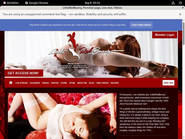 [Image: LittleRedBunny-With-Paypal.jpg]
