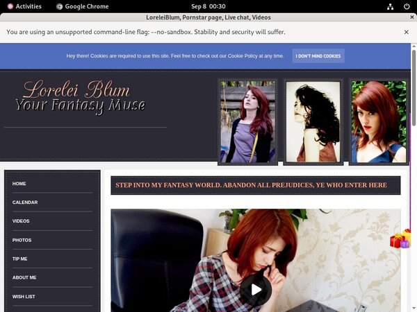 LoreleiBlum Member Passwords