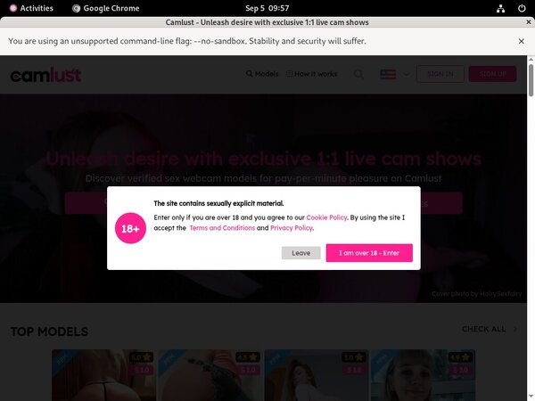 Lust Cam Membership Discount