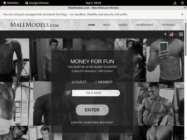 Male Models Stars