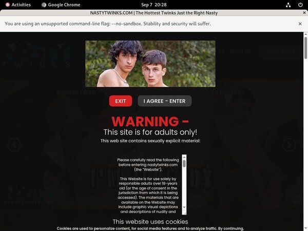Nastytwinks.com Premium Password