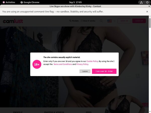 Password Camlust.com