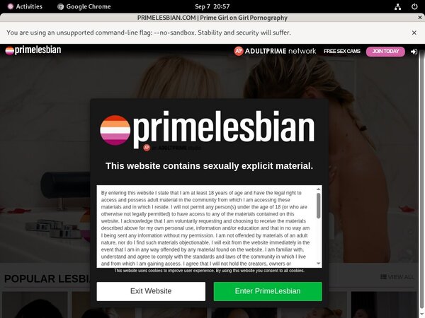 Paypal For Primelesbian