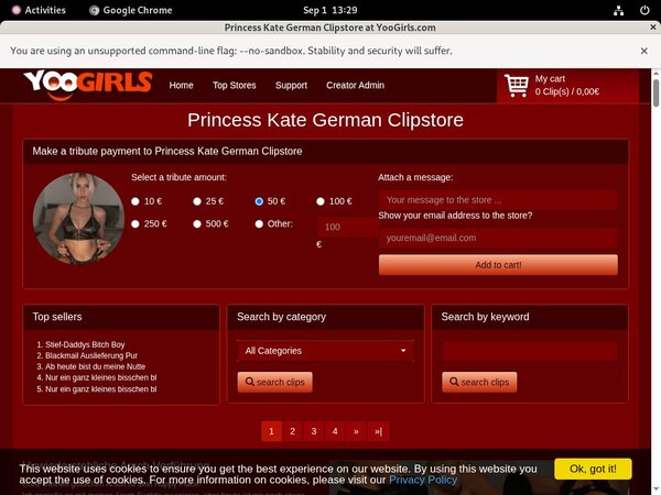 Princess Kate German ??