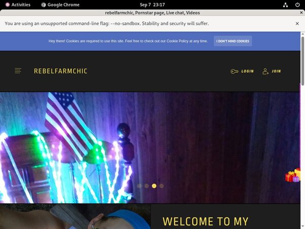 Rebelfarmchic.modelcentro.com With Webbilling.com