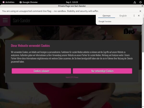 Sari Sander Updates