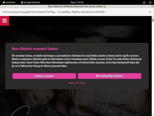 SinaValentini Hacked Password