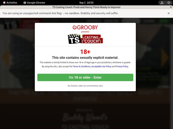 TS Casting Couch Free Member