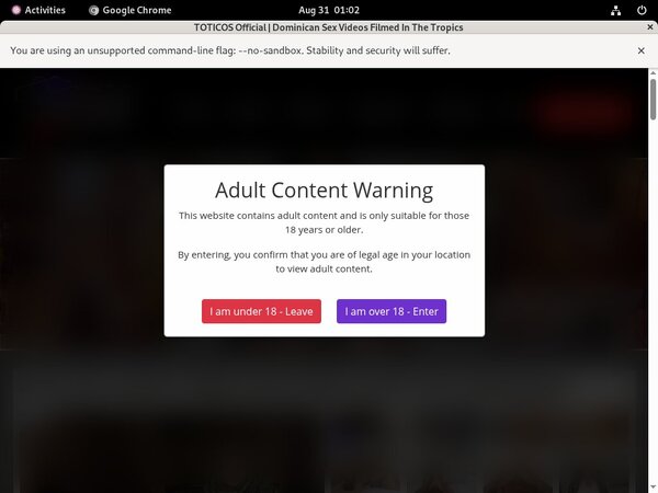 [Image: Toticoscom-Models.jpg]