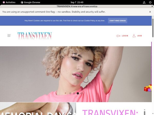 TransVixen 1080p