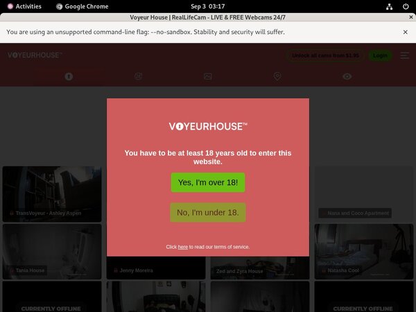 Voyeurhouse.com Paysafecard