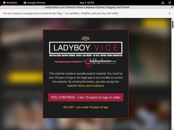 Ladyboyvice Instant Access