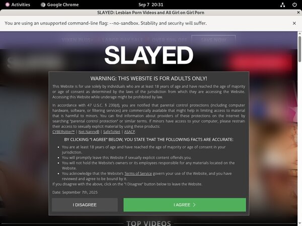 Slayed.com Pic