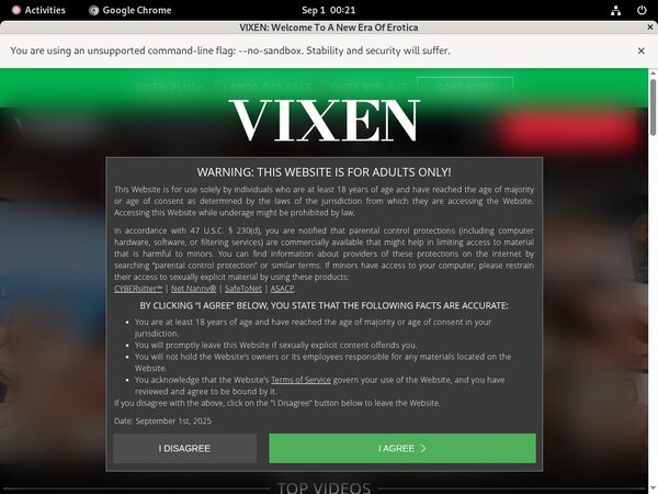 Vixen.com Epoch Discount