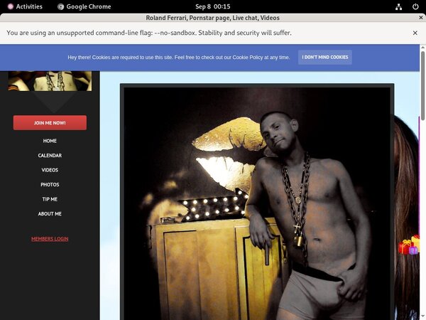 Get Rolandferrari.modelcentro.com Free